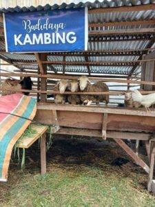 Lapas Kelas IIA Labuhan Ruku Perkuat Ketahanan Pangan Lewat Pembinaan Kemandirian Warga Binaan   