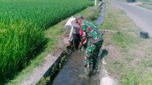 Sinergi Upsus Ketahanan Pangan, Serma Aminoto Bersama Poktan Margo Rukun Bersihkan Saluran Irigasi   