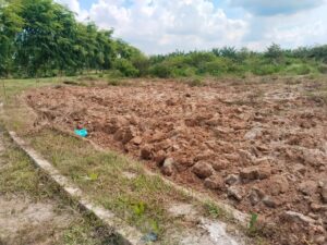 Dibangun 2023 Senilai Rp2,8 Miliar Dari APBD Batubara, Lapangan Bola GOR Batubara Ditraktor Diduga Akan Dialih Fungsikan