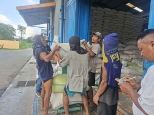 Polres Batu Bara Terus Dukung Ketahanan Pangan, Distribusi Jagung ke Bulog Asahan Capai 288,421 Ton   