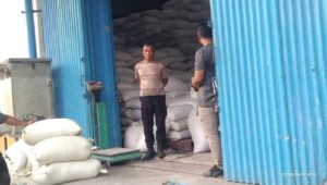 Dukung Program Ketahanan Pangan, Polres Batu Bara Kawal Pendistribusian 327,826 Ton Jagung Petani Ke Bulog Asahan   