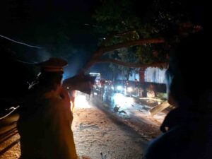 Evakuasi Pohon Tumbang di Jalan Medan, Sat Lantas Pematangsiantar Atur Lalu Lintas — Arus Berjalan Aman & Lancar   
