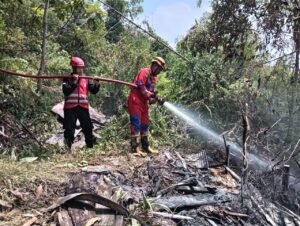 Aksi Cepat Tanggap Padamkan Karhutla, Tim Respon Bencana Batalyon A Pelopor Jinakkan Api di Hutan Kota Balikpapan   