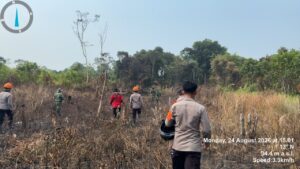 Pastikan Tak Ada Api Kembali, Brimob Kalbar Patroli Karhutla di Bekas Lokasi Karhutla