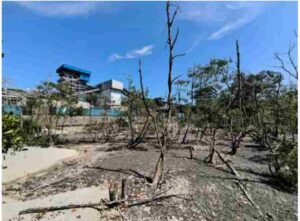 Kesehatan Terancam & Lahan Rusak, Warga Sei Suka Desak Pemkab Batu Bara Turun Tangan   