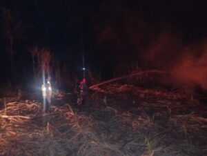 Api Mengamuk di Lahan Tebu Andong, Babinsa dan Damkar Bergerak Cepat Cegah Kebakaran Meluas   